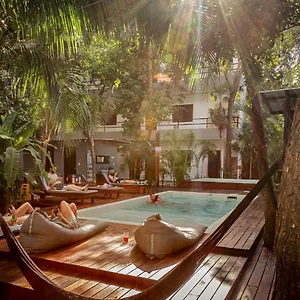 hostel-che-tulum.quintano-roohotels.com/